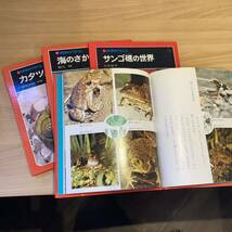 【7690③】科学のアルバム　動物シリーズ　24冊　　海のさかな・ネコのくらし・カタツムリ　他_画像3