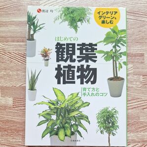 はじめての観葉植物 育て方の手入れとコツ 渡辺均 著 池田書店