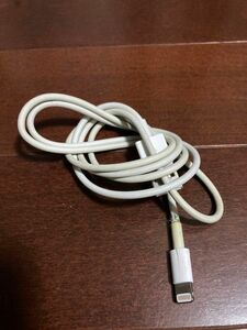 USB-C iPhone ライトニングケーブル【ジャンク品】