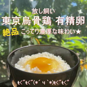 東京烏骨鶏 烏骨鶏 食用 ２０個 放し飼い 洗浄済み 送料無料の画像1