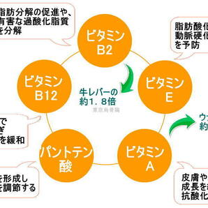 東京烏骨鶏 烏骨鶏 食用 ２０個 放し飼い 洗浄済み 送料無料の画像2