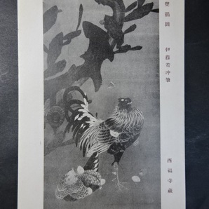 古絵葉書 伊藤若冲◆1108 雙鶏図 画像参照。の画像1