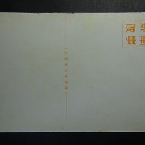 古絵葉書◆0803 軍事郵便 南京光華門より城内富貴山方面を望む 画像参照。の画像2