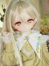 ＊小桜はうす＊　DDH-29 セミホワイト肌 ドルフィードリームカスタムヘッド+おまけアイ2種+ディーラー様製エルフ耳　※パテ盛り/難あり_画像6