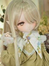 ＊小桜はうす＊　DDH-29 セミホワイト肌 ドルフィードリームカスタムヘッド+おまけアイ2種+ディーラー様製エルフ耳　※パテ盛り/難あり_画像5