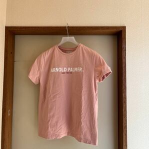 レナウン　アーノルドパーマー　レディース　Tシャツ　サイズ3