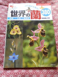 ★世界の蘭380―不思議な花、奇妙な花が大集合! (主婦の友ベストBOOKS)斎藤亀三(著)★ラン好きな方いかがでしょうか。ガーデニング