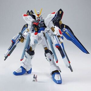 HG 1/144 ストライクフリーダムガンダム ver.GFT ガンダムフロント東京 ガンプラ 未使用