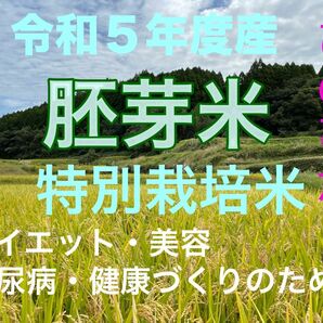 熊本県産　ひのひかり胚芽米　特別栽培米　10キロ(箱込み)