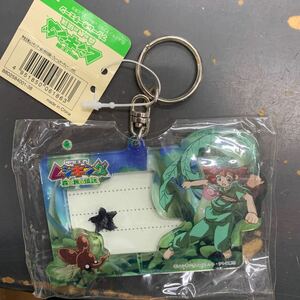 即決　フレームキーチェーン　ポポ　甲虫王者ムシキング　森の民の伝説