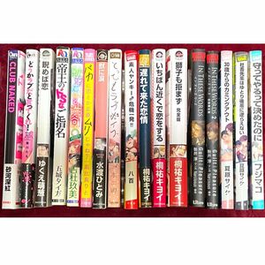 BL漫画 ボーイズラブ BLコミック 商業BL 17冊 まとめ売り セット