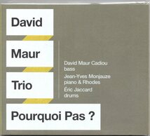 ♪澤野工房盤!!! ピアノトリオ David Maur Trio-Pourquoi Pas?♪_画像1