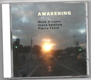 ♪Mark O'leary/Steve Swallow/Pierre Favre-Awakening♪