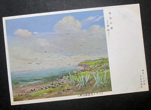 PB82【戦前絵葉書】海鳥の群　南洋パラオ島　（美術画/風景画）