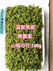 滋賀県産　無農薬の山椒の花　100g