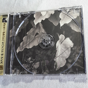 AMY GRANT「BEHIND THE EYES」＊1997年リリース・15thアルバム ＊プロモ盤の画像5