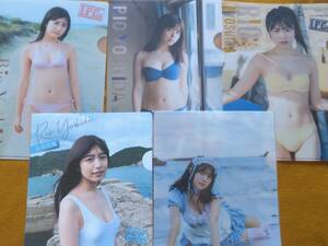 * Yoshida . Sakura | magazine appendix clear file 5 kind!