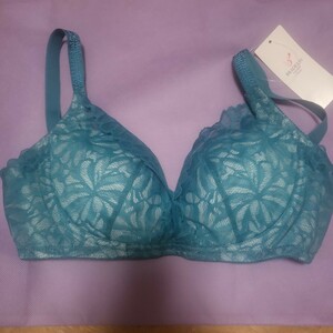 Bradelis New York New Bra L