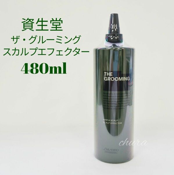 【資生堂プロフェッショナル】ザ・グルーミング スカルプエフェクター480ml