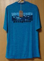 patagonia ★キャプリーンクールデイリーグラフィックシャツ Cap Cool Daily Graphic Shirt 45235 FBYX パタゴニア サイズ S 日本サイズ M_画像1