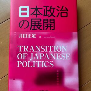 日本政治の展開　井田正道