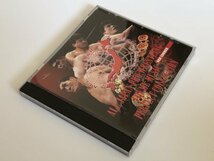 全日本プロレス・テーマ パーフェクトコレクション RED CORNER　プロレス 入場曲 CD　VAP　三沢光春　ジャイアント馬場　ジャンボ鶴田_画像3