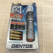 ジェントス 閃シリーズ SG-405 GENTOS LEDフラッシュライト 250ルーメン LED懐中電灯_画像1