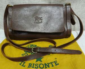 IL BISONTE