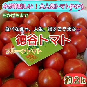 高知県産 徳谷トマト フルーツトマト 送料無料 約2kg たっぷり食べたい方へ、送り物にも(^^)