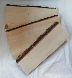 イチョウの木　板材3枚セット