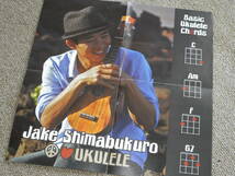 Jake Shimabukuro / PEACE LOVE UKULELE_画像3