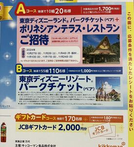  懸賞　応募☆東京ディズニーリゾートパークチケットペア　55組110名様