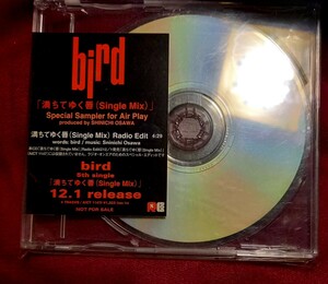 プロモ盤　bird cd 満ちてゆく唇　(single mix) aict1147