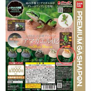 プレミアムガシャポン　いきもの大図鑑アドバンス アマガエル０２　アマガエル（アルビノイエロー）