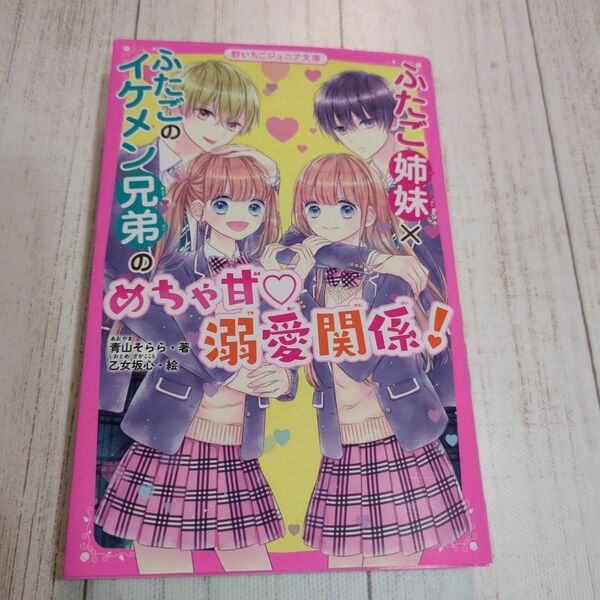 ふたご姉妹×ふたごのイケメン兄弟のめちゃ甘溺愛関係！ （野いちごジュニア文庫　あ４－３） 青山そらら／著　