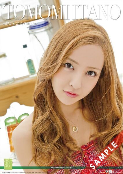 ◎新品未開封◎板野友美(AKB48) 2013年 カレンダー 壁掛け B2サイズ/匿名配送/ゆうパック送料込み