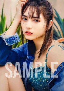 【B-006】小坂菜緒　Lサイズ写真　日向坂46