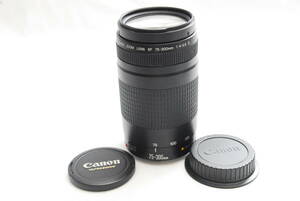 CANON ZOOM LENS EF 75-300mm 1:4-5.6Ⅱ 04-17-30