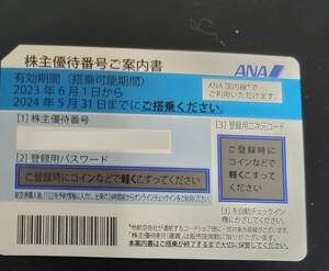 ・ANA株主優待券 2024年5月31日まで ２枚セット 送料不要