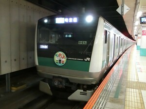 ★[99-17]鉄道写真:JR E233系(川越線80周年ヘッドマーク)★Lサイズ