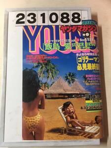 231088週刊ヤングマガジン 1993年8月23日 No.35，36