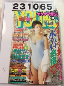 231065週刊ヤングマガジン 1996年3月25日 No.14