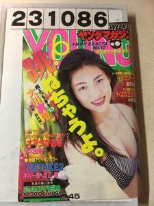 231086週刊ヤングマガジン 1995年10月30日 No.45