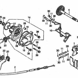 ホンダ純正燃料ホース 内径3.0mm / 1m フューエル ホース 流用 オイルパス チューブ 補修用 MC11 MC16 NSR250R MC21 MC28 MD24 CRM250 MD32の画像3