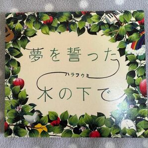 原由子　夢を誓った木の下で　CD シングル