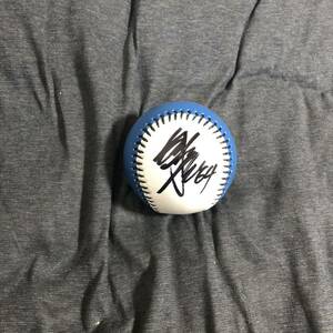  Japan ham Fighter z Tamiya .. player autograph autograph ball Logo lamp 