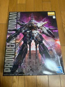 MG 1/100 プロヴィデンスガンダム 未組み立て ガンプラ 機動戦士ガンダムSEED プラモデル バンダイ