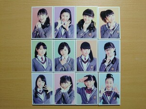 ○ さくら学院グッズ『 全メンバー(12名) (さくら学院2017年度) フルコンプ めんこカード１２枚セット ○ 未使用品