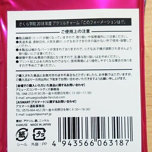 ○ さくら学院グッズ『 野崎結愛 (さくら学院2018年度) アクリルチャーム 「このフォーメーションは!?」○ 未使用品の画像3