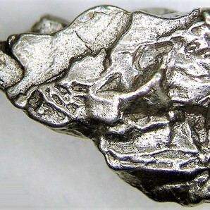 隕石 鉄隕石 カンポデルシエロ 資料付（Ｈ）の画像1